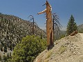 2014 Mt Baldy Cali 187